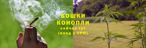 трава Верея