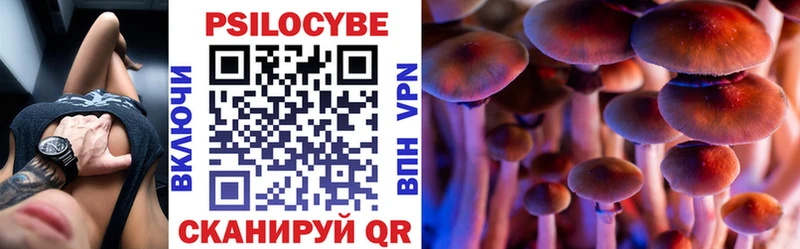 Псилоцибиновые грибы Cubensis  Усолье-Сибирское 